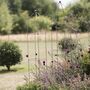 Artisan Obelisk Plant Support, thumbnail 3 of 6