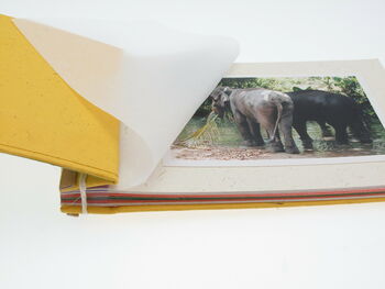 Colourful Elephant Dung Photo Album, 8 of 9