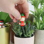 Mini Festive Gnomes Plant Pot Markers, thumbnail 3 of 5