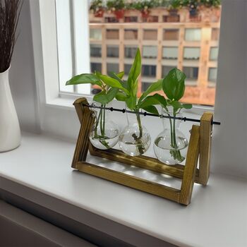 Set Of Three Propagation Vases, 3 of 6