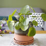 Hand Glazed Plant Pot For Mum, thumbnail 10 of 12