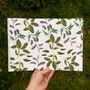 Festive Botanical Gift Wrap Sheets Recycled, thumbnail 2 of 5