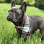 Alfies Red And White Tartan Plaid Dog Celebration Bandana, thumbnail 2 of 7