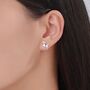 Sterling Silver Tiny Jack Russell Dog Stud Earrings, thumbnail 2 of 12