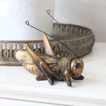 Decorative Metal Grasshopper, 2 of 6
