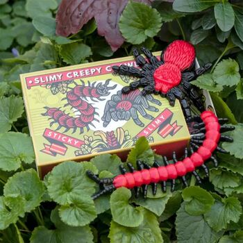 Stocking Filler Slimy Creepy Crawlies In A Box Set Of Two, 3 of 4