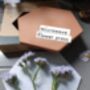 Dried Flowers And Herbs Press For Microwave, thumbnail 3 of 4
