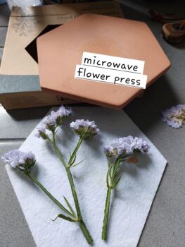 Dried Flowers And Herbs Press For Microwave, 3 of 4
