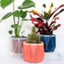 Origami Self Watering Eco Plant Pot: 15cm | Coral, thumbnail 4 of 6