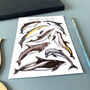 Dolphins Of Britain Watercolour Postcard, thumbnail 7 of 12