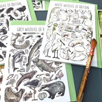 Wildlife Of Britain Greeting Cards Pack Volume Six, 9 of 9