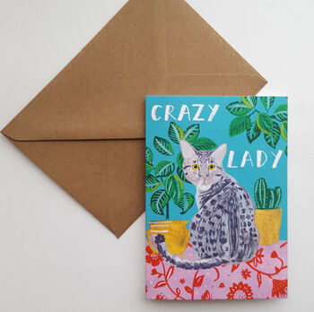 Crazy Cat Lady Greetings Card, 3 of 6