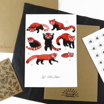 Pack Of Red Pandas A4 Art Print, 5 of 7