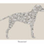 Dalmation Print, thumbnail 2 of 4