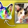Personalised Holographic Pet Face Portrait Stickers, thumbnail 4 of 12