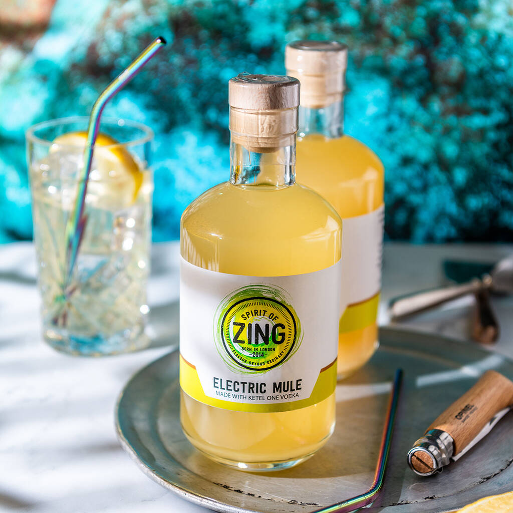 Electric Ginger Mule Vodka Cocktail By World of Zing