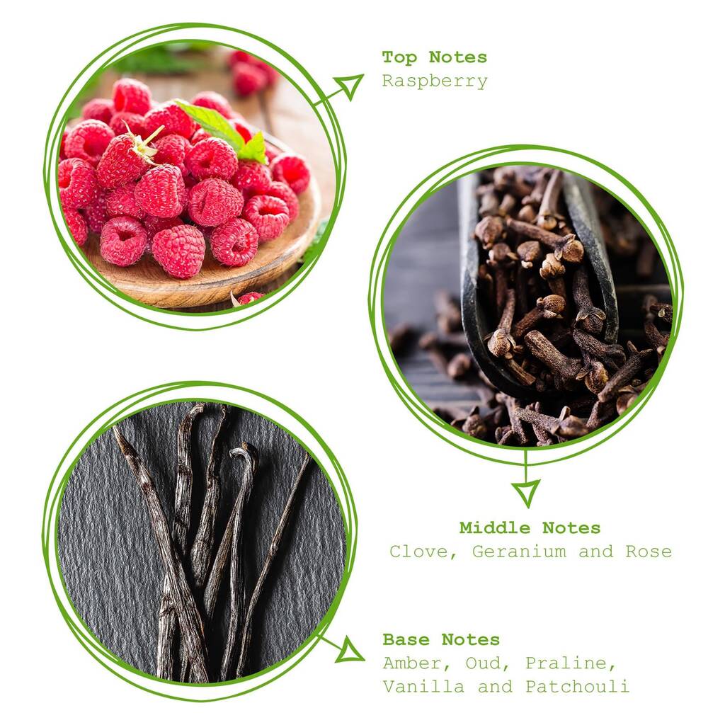 Austin And Oud Scented Reed Diffuser 350ml By Rinkit