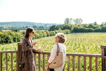 Oastbrook Vineyard Tour And Tasting For Two, 8 of 12