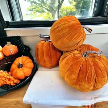 Velvet Pumpkins With Lights, 3 of 6