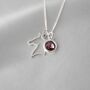 Personalised Horse Necklace, Birthstone Equesterian Gift, thumbnail 4 of 8