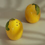G Decor Set Of Lemon Shaped Salt And Pepper Shakers, thumbnail 2 of 8