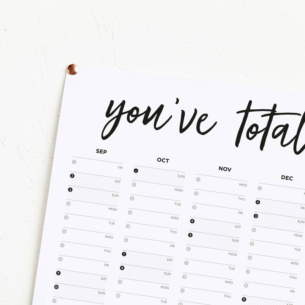 2023 2024 Totally Got This Mid Year Planner By doodlelove