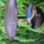 Metal Bird Feeder, thumbnail 5 of 6