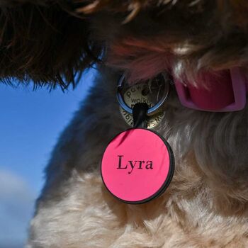 Personalised Engraved Pet ID Name Tag Silicone, 2 of 12