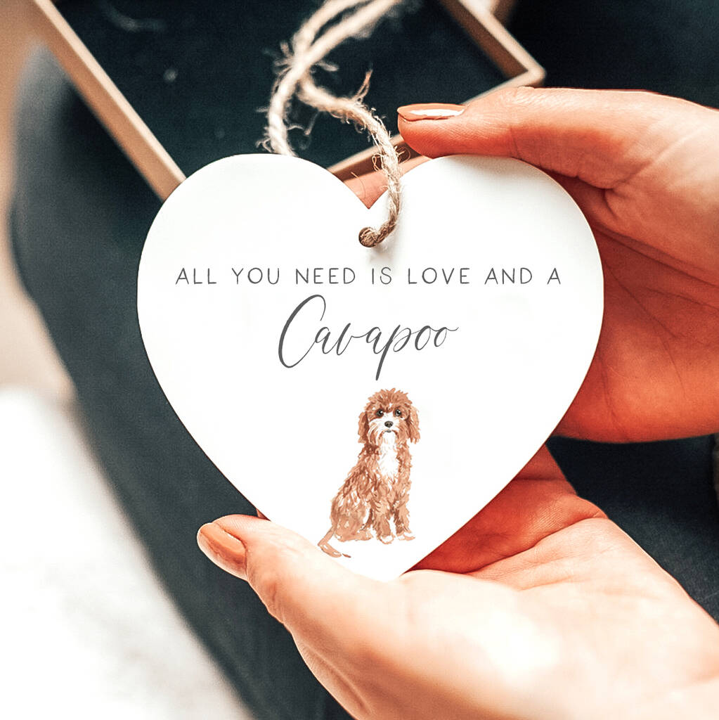 'Love And A Cavapoo' Dog Lover Gift