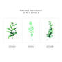 Set Of Three Botanical Watercolour Leaf Prints, thumbnail 2 of 9
