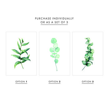 Set Of Three Botanical Watercolour Leaf Prints, 2 of 9