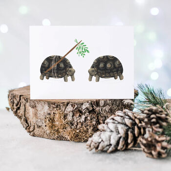 Mistletoe Tortoise Christmas Cards, 3 of 10