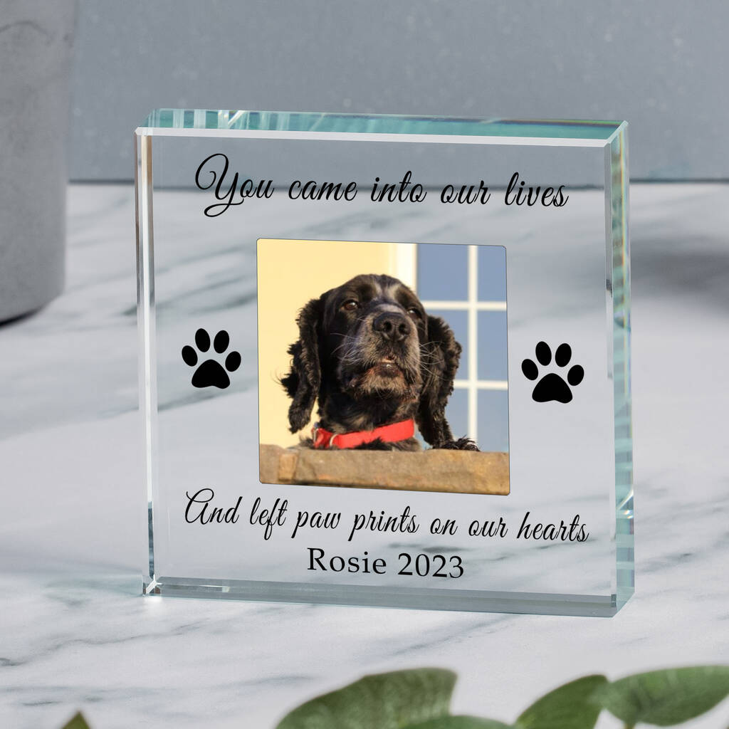 Cornice Portafoto Commemorativa Per Animali Domestici 'You Left Paw Prints On My Heart' - Legno 14,5x20,3cm