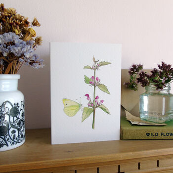 Red Dead Nettle And Butterfly Greeting's Card, 3 of 4