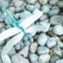 Build Your Own Personalised Dragonfly, thumbnail 3 of 12