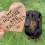 'My Humans Are Engaged' Dog Biscuits Engagement Gift, thumbnail 1 of 7