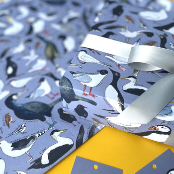 Coastal Birds Of Britain Wrapping Paper, 2 of 9