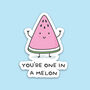 Pack Of Three | 'You're One In A Melon' | Novelty Sticker, thumbnail 1 of 3