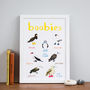 'Boobies' Illustrated Bird Art Print, thumbnail 1 of 3