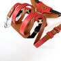 Red Pooch Pack Harness, thumbnail 4 of 6