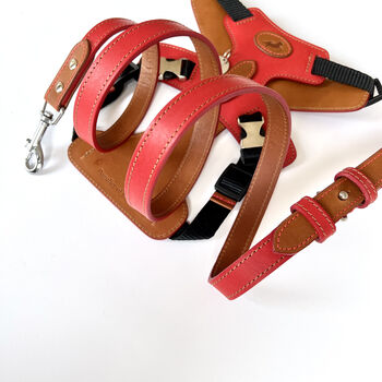 Red Pooch Pack Harness, 4 of 6