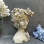 26cm Grey Green Ladies Head Plant Pot With Pink Flowers, thumbnail 10 of 12