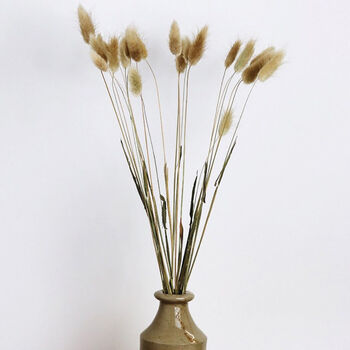 Natural Dried Fluffy Bunny Tail Bunch, 2 of 5
