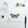 ‘Butterflies’ Set Of Hand Illustrated Postcards, thumbnail 1 of 6