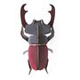 Stag Beetle 3D Wall Decoration, thumbnail 2 of 5