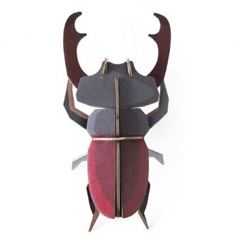 Stag Beetle 3D Wall Decoration, 2 of 5