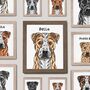 Personalised Staffy Terrier Dog Half Portrait Print, thumbnail 1 of 9