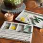 Blossom Bonsai Beaded Craft Kit, thumbnail 5 of 5