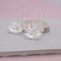 Sterling Silver Coral Pearl Earrings, thumbnail 2 of 6