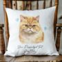 Personalised Exotic Shorthair Cat Love Hearts Cushion Cover, thumbnail 1 of 2